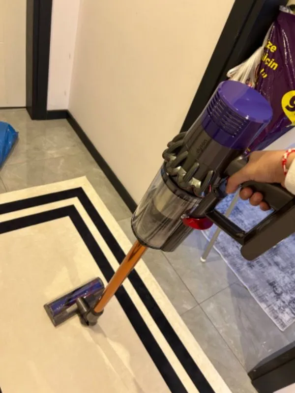 Dyson Cyclone V10™ Absolute