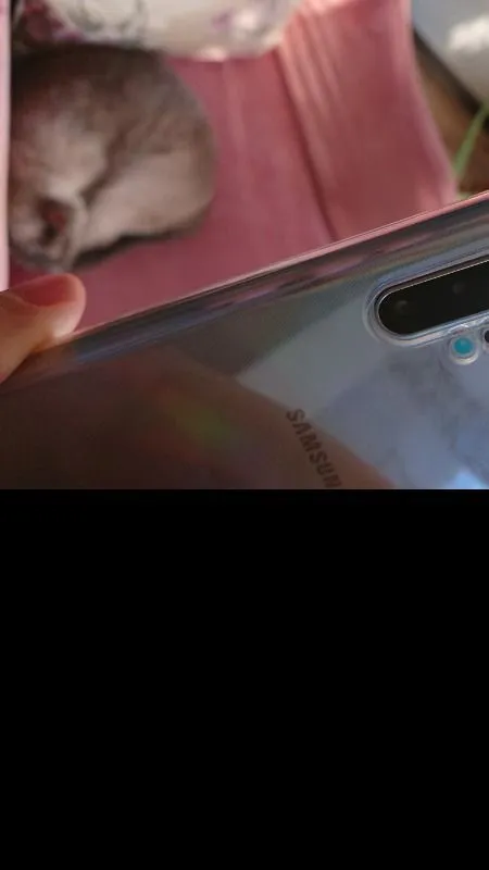 Samsung Galaxy Note 10 Plus