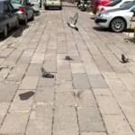 Burak Aktaş ürün değerlendirmesi