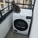 Merve Dinç ürün değerlendirmesi
