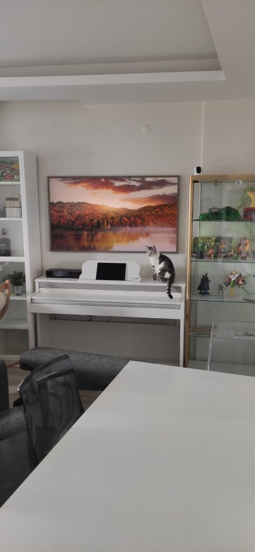 Samsung 55LS03F 55” 139 Ekran Uydu Alıcılı 4K Ultra HD Tizen Smart QLED TV