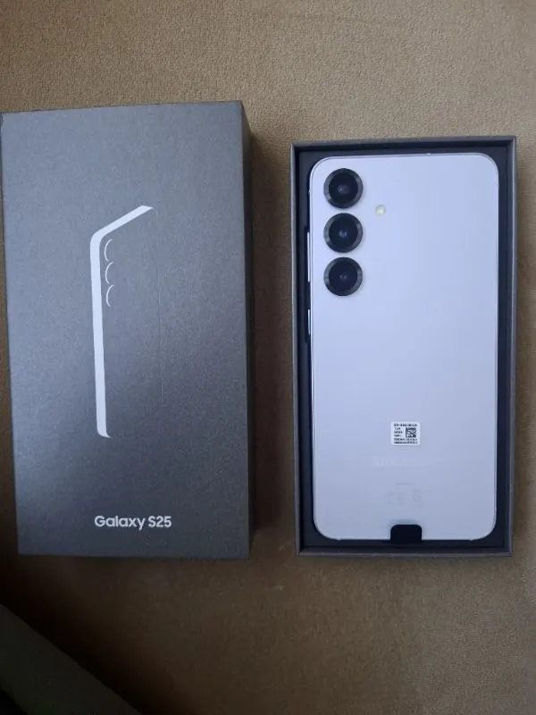 Samsung Galaxy S25