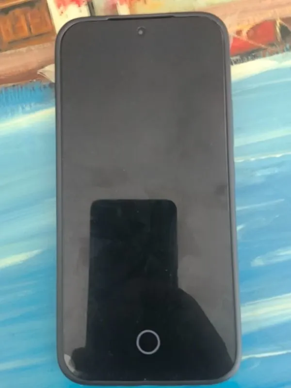 Xiaomi 17T