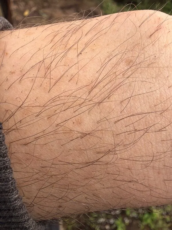 Braun Ipl Silk·expert Pro 5, Evde Tüy Alma, Çanta, Venus Tıraş Makinesi, 2 Başlık Ile, PL5146