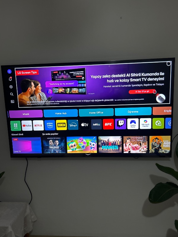 LG 65UA8500 65” 165 Ekran Uydu Alıcılı 4K Ultra HD Smart webOS LED TV