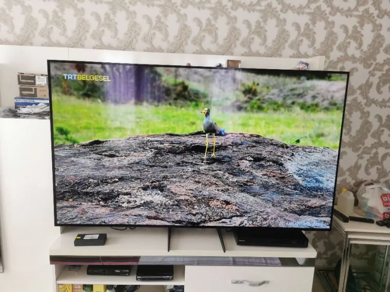 Samsung 65S85F 65” 165 Ekran Uydu Alıcılı 4K Ultra HD Tizen Smart OLED TV
