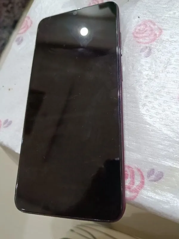 Reeder S19 Max
