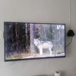 Aslı Özkan ürün değerlendirmesi