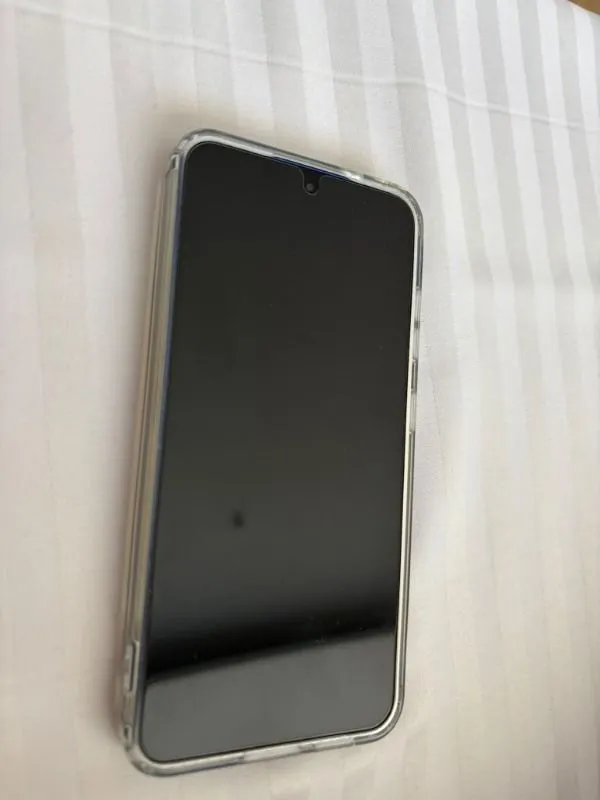 Samsung Galaxy S25