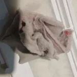 Rüya Bayar ürün değerlendirmesi