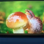 Ada Altun ürün değerlendirmesi
