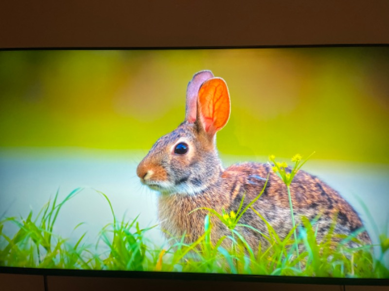 Nextstar YE-55IDG11 55″ 140 Ekran Uydu Alıcılı 4K Ultra HD Google Smart MiniLED TV