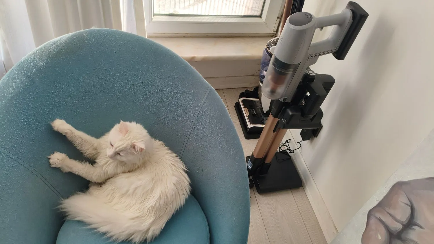 Electrolux EP82AB25UG 800 Serisi Animal Dikey Şarjlı Süpürge, 10 Yıl Motor Garantili