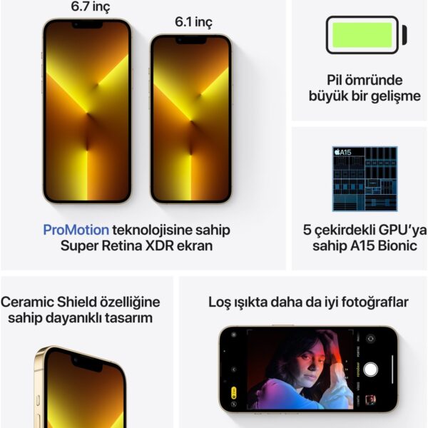 Apple iPhone 13 Pro Max