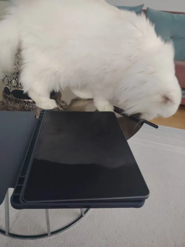 Casper PAD M10 Pen 12.2″ 2.4K Tablet 8GB RAM 128GB + Casper M10 Tablet Kılıfı + Prestige Kalem