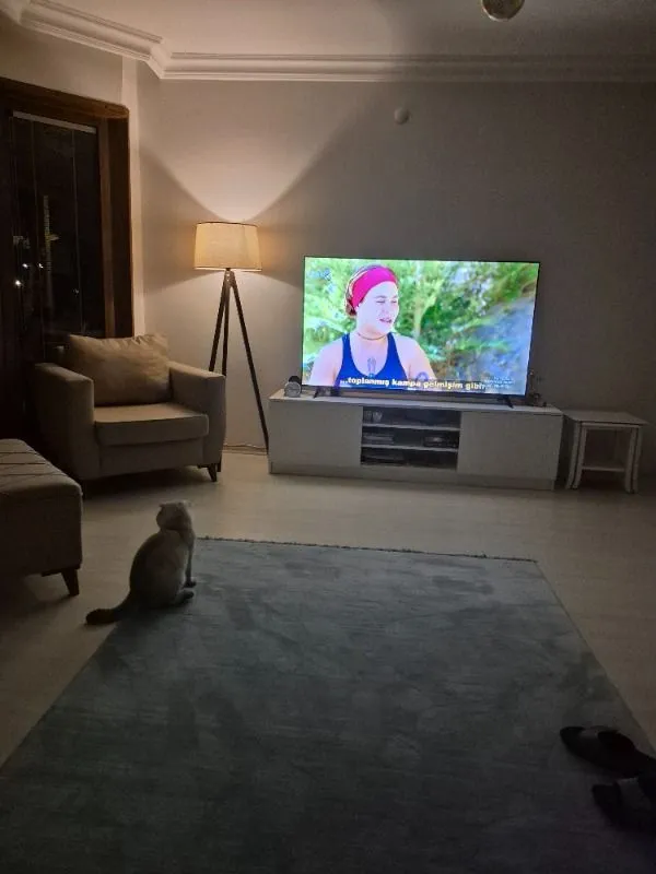 TCL 65P6K 65″ 165 Ekran Uydu Alıcılı 4K Ultra HD Google Smart LED TV