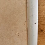 Ali Çiftçi ürün değerlendirmesi