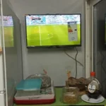 Efe Çiçek ürün değerlendirmesi