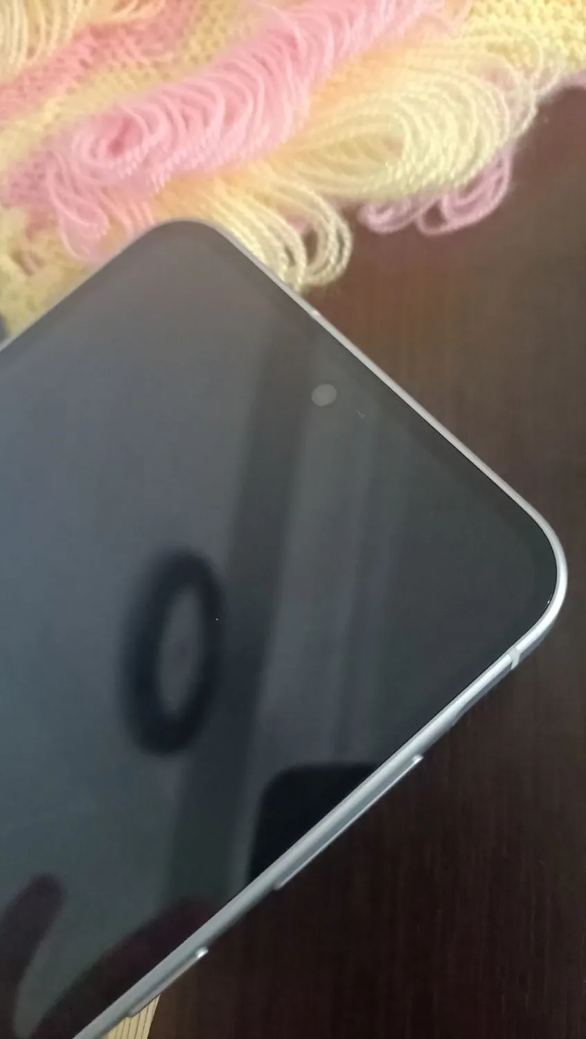 Samsung Galaxy A56