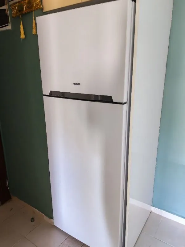 Regal Nf 52021 451 Lt E Enerji Sınıfı No Frost Buzdolabı