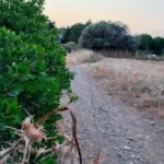 Özge Özçelik ürün değerlendirmesi