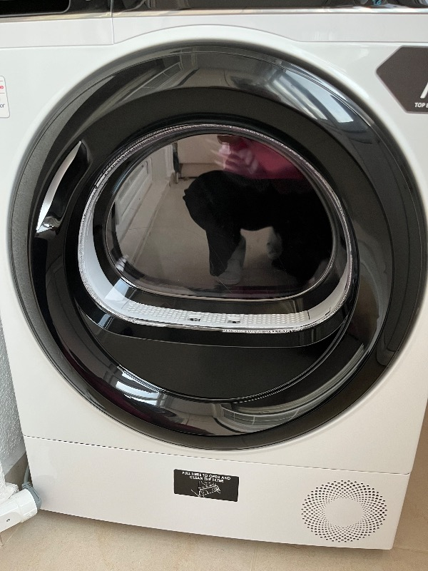 Haier HD100-A2939E-TR 10 kg Wi-Fi Bağlantılı Isı Pompalı Kurutma Makinesi