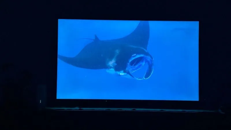 Samsung 55M80H 55” 139 Ekran Uydu Alıcılı 4K Ulta HD Tizen Mini LED TV