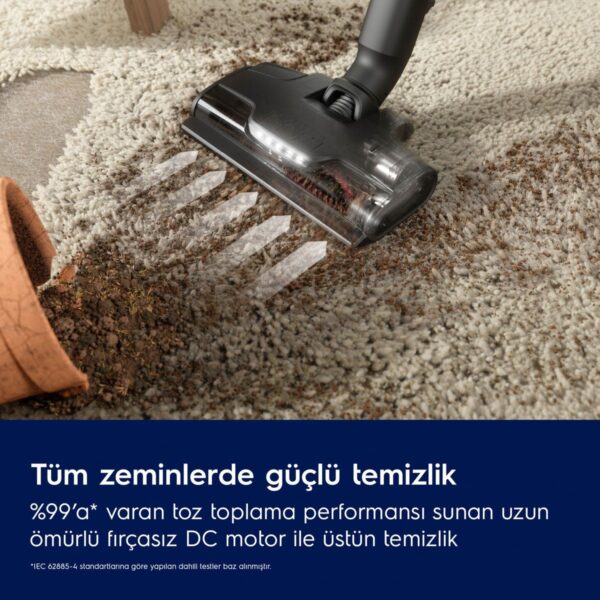 Electrolux EP82AB25UG 800 Serisi Animal Dikey Şarjlı Süpürge, 10 Yıl Motor Garantili