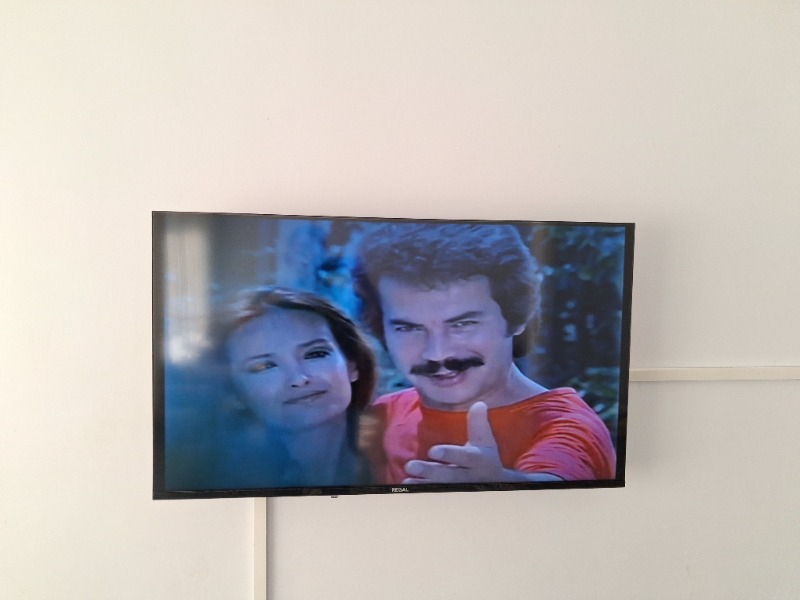 Regal 43T01900 43″ 109 Ekran Uydu Alıcılı 4K Ultra HD Smart TV