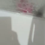 Orhan Karakoç ürün değerlendirmesi