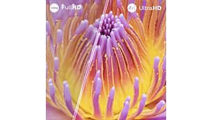 Philips 55PUS8050/62 55'' 139 Ekran Uydu Alıcılı 4K Ultra HD Smart Titan Ambilight TV