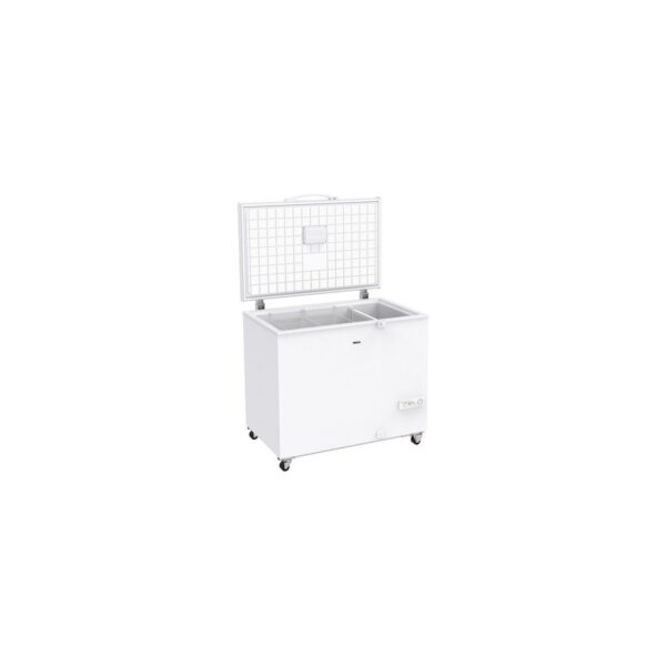 Regal Sd Dual 3022 E Enerji Sınıfı 268 lt Sandık Tipi Derin Dondurucu