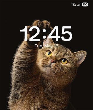 Samsung Galaxy S25 Edge
