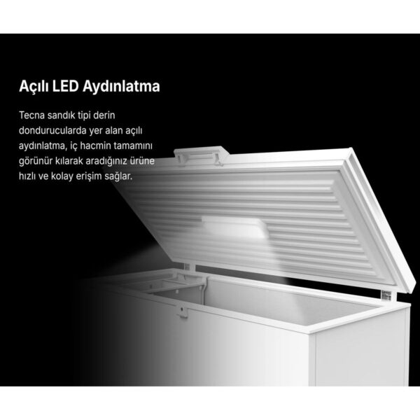 Tecna Tye 1122 Dual Sandık Tipi Derin Dondurucu 120 lt E Enerji Sınıfı Beyaz