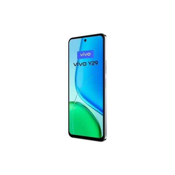 Vivo Y29